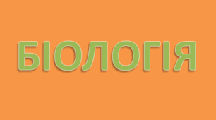 Самостійна робота з теми "Суцвіття"