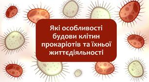 §7 Які особливості будови клітин прокаріотів та їхньої життєдіяльності