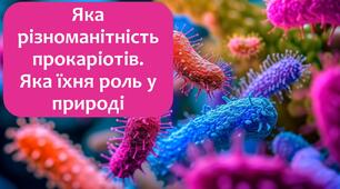 §8 Яка різноманітність прокаріотів. Яка їхня роль у природі