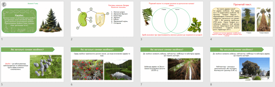 06023t2x-9cdb-940x298.png