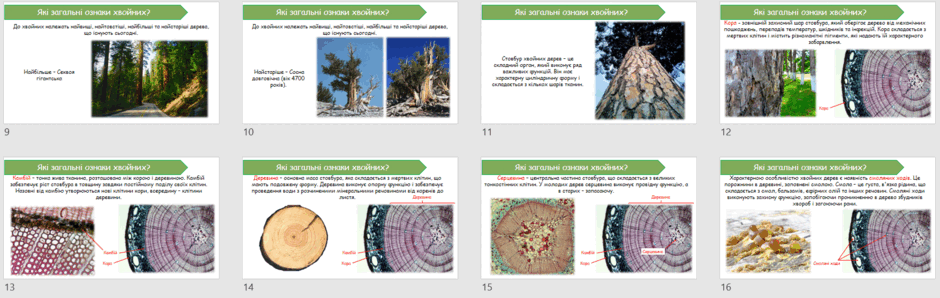 06023t2y-1d96-940x298.png