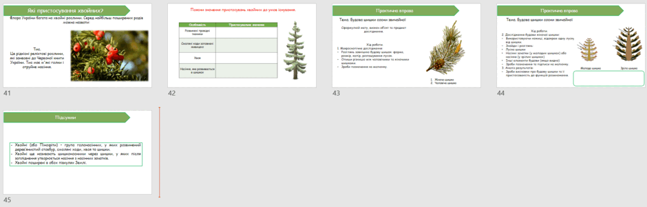 06023t3n-2c04-940x301.png