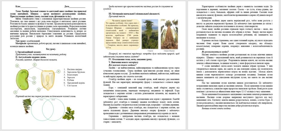 06023t3x-5823-940x439.png