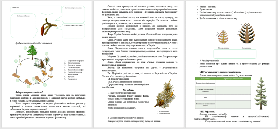 06023t41-3b79-940x438.png