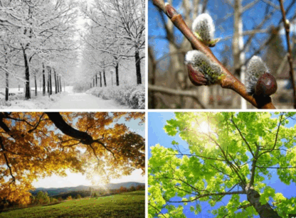 06023ts4-c1a7-416x307.png