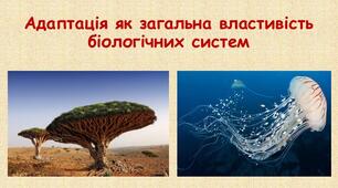Адаптація як загальна властивість біологічних систем
