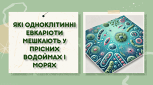 7 клас НУШ. Які одноклітинні евкаріоти мешкають у прісних водоймах і морях