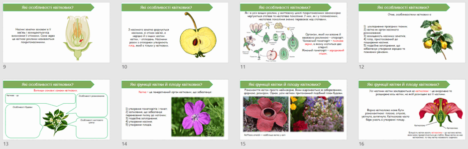 06023vnp-8408-940x299.png