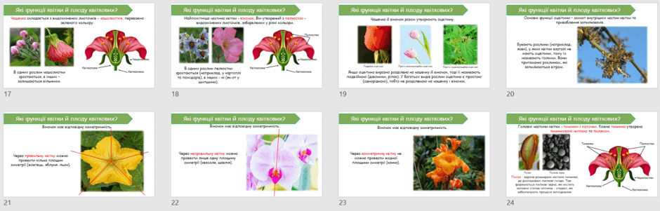 06023vnt-93f6-940x301.png