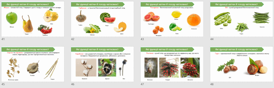 06023vo4-4a60-940x303.png