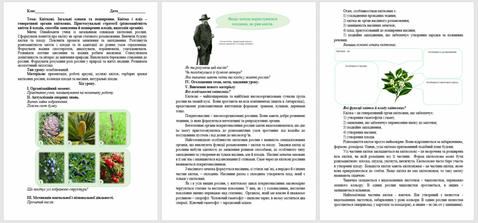 06023von-7176-940x438.png