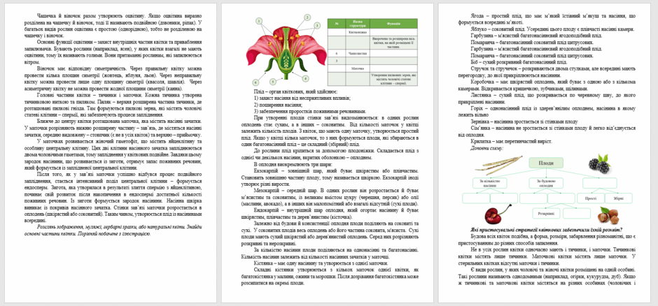 06023vop-1892-940x438.png