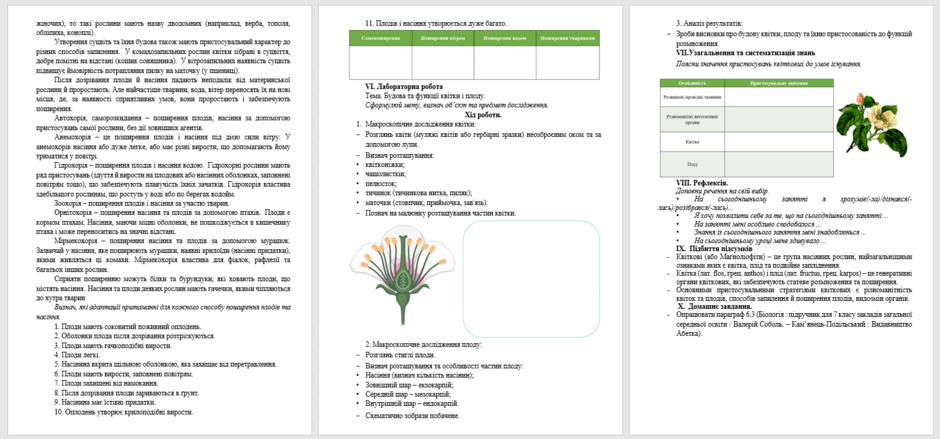 06023vou-98e1-940x439.png