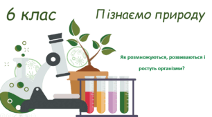 Як розмножуються і розвиваються організми?