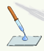 06023z4l-49ec-152x175.png