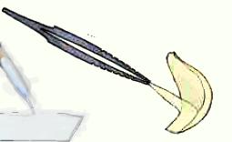 06023z5l-f443-255x156.png