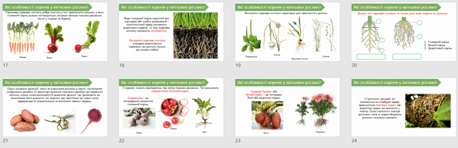 06023z7j-3cb7-940x305.png