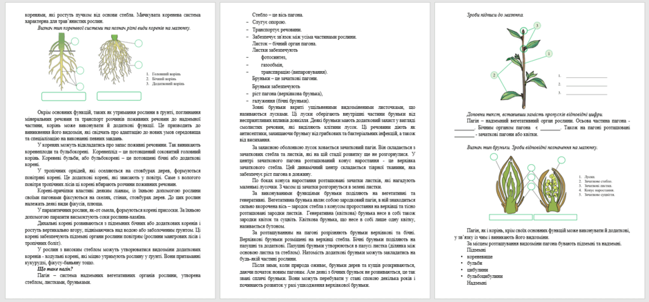 06023z95-c117-940x438.png