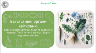 Урок на тему "Вегетативні органи квіткових. Корінь та його функції. Види та видозміни коренів. Пагін та його функції. Види і видозміни пагонів" (Конспект, презентація, робочі аркуші)