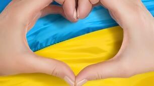 Стартова робота з української мови 11 клас
