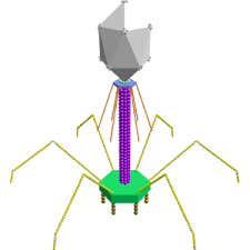 06024080-f6ca-225x225.png