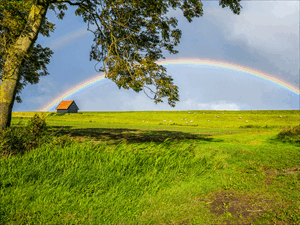 06024093-4390-300x225.png