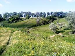 06024094-6546-259x194.jpg