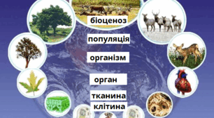 10 клас Вступ