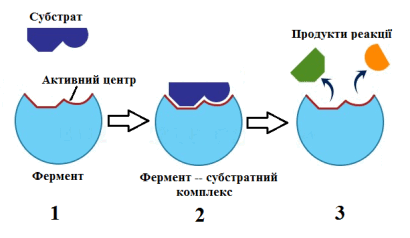 06024165-731f-410x238.png