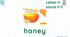 STREAM ABC Lesson 36: Exploring More with the Letter H and Sound H h