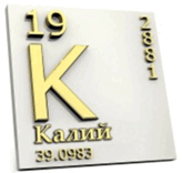 060242r9-8240-164x156.png