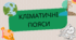 КЛІМАТИЧНІ ПОЯСИ