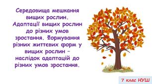 Презентація на тему: "Середовища мешкання вищих рослин. Адаптації вищих рослин до різних умов зростання. Формування різних життєвих форм у вищих рослин – наслідок адаптацій до різних умов зростання." 7 кл. НУШ