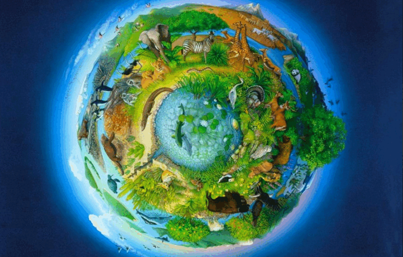 060245pw-624b-800x510.png