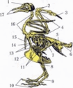 060249a8-73d3-105x126.png