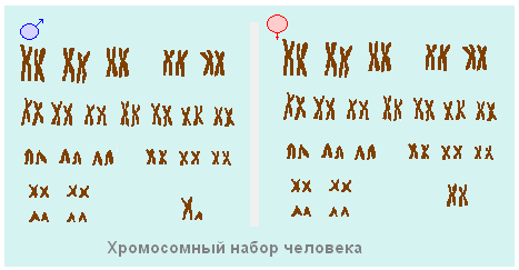 060249m0-f54e-467x243.png