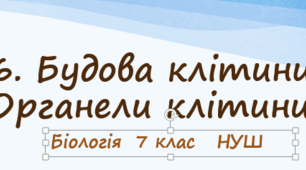 Презентація   «Будова клітини. Органели клітини»   7 клас НУШ