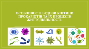 Презентація "Особливості будови клітини прокаріотів та їх процесів життєдіяльності."