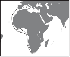 06024bn2-b205-231x190.png