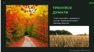 Презентація до уроку "Основні методи дослідження біорізноманіття."