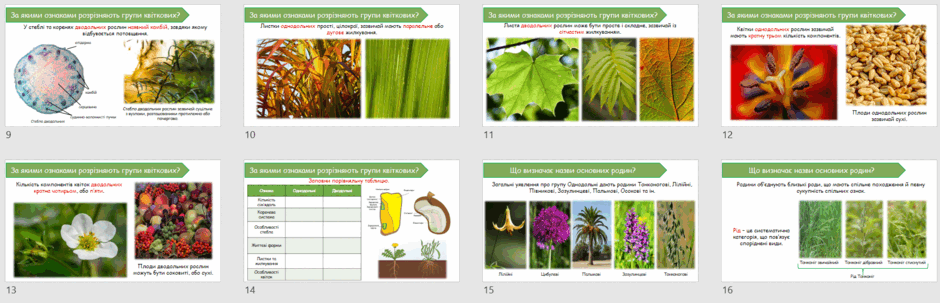 06024n07-cb8b-940x303.png
