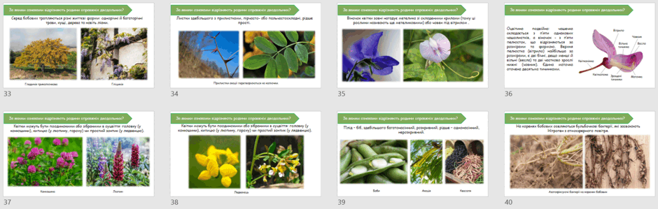 06024n0u-b382-940x299.png