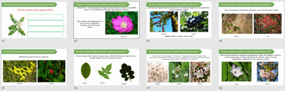 06024n10-eb8b-940x300.png