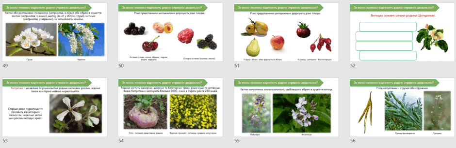 06024n14-cb03-940x306.png