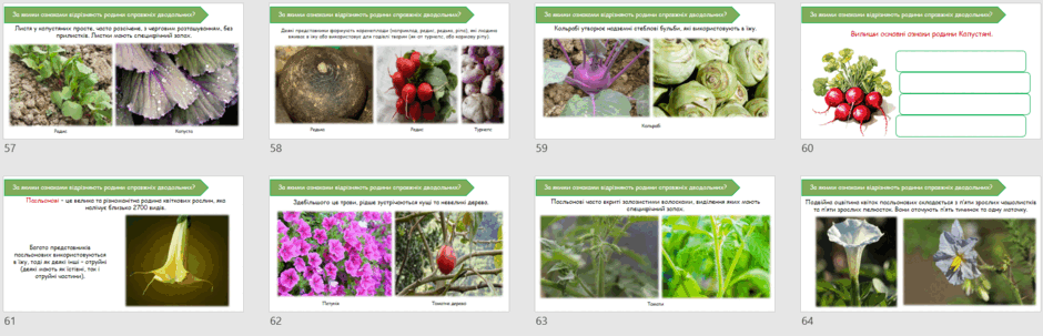 06024n1h-b888-940x303.png