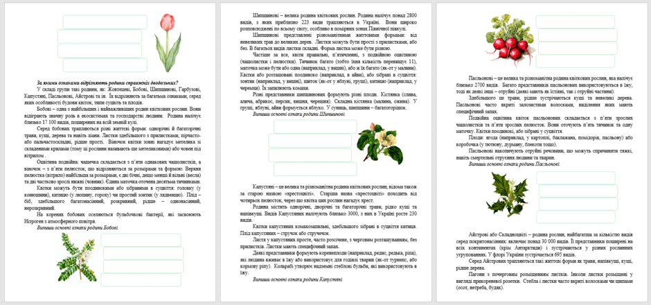 06024n2l-db02-940x440.png
