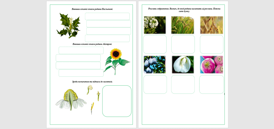 06024n3d-12e4-940x443.png