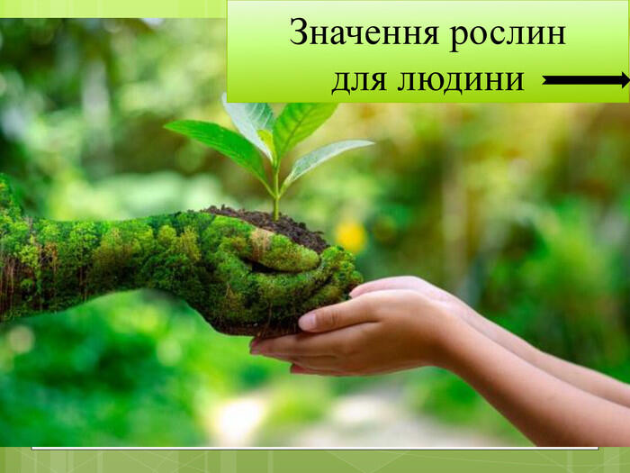 06024nt2-5e1c-700x525.jpg