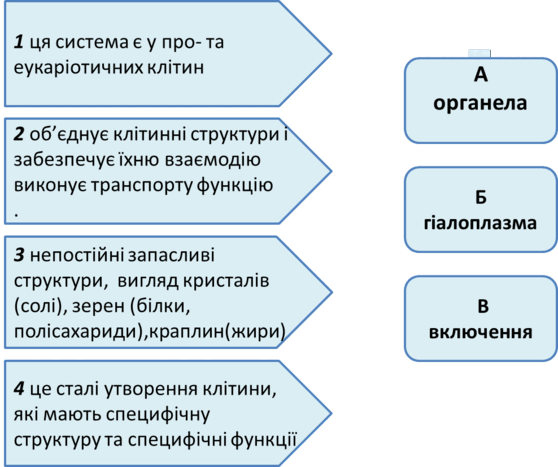 06024o5y-e9c1-558x467.png