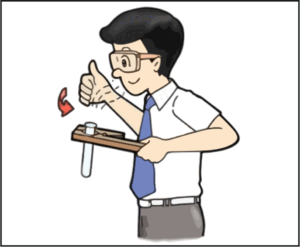 06024qii-6077-300x247.png